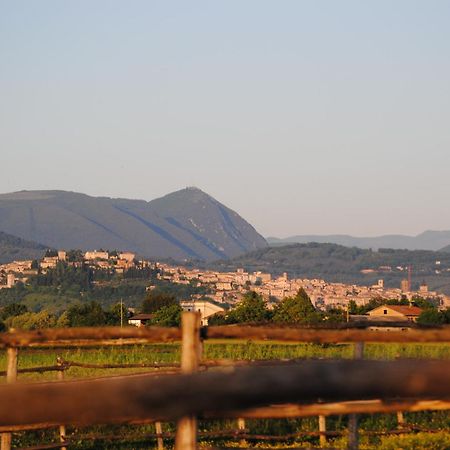 Agriturismo Il Barco 스펠로 외부 사진
