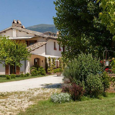 Agriturismo Il Barco 스펠로 외부 사진