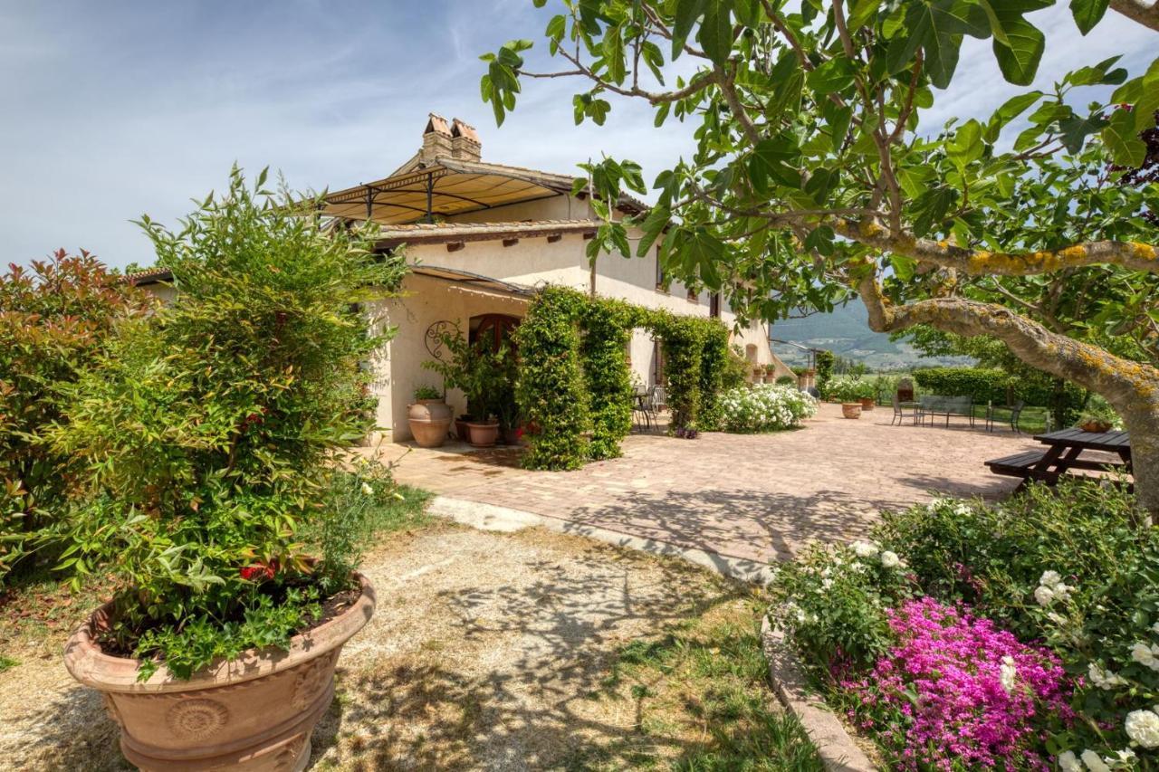 Agriturismo Il Barco 스펠로 외부 사진