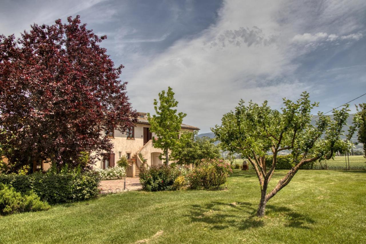 Agriturismo Il Barco 스펠로 외부 사진
