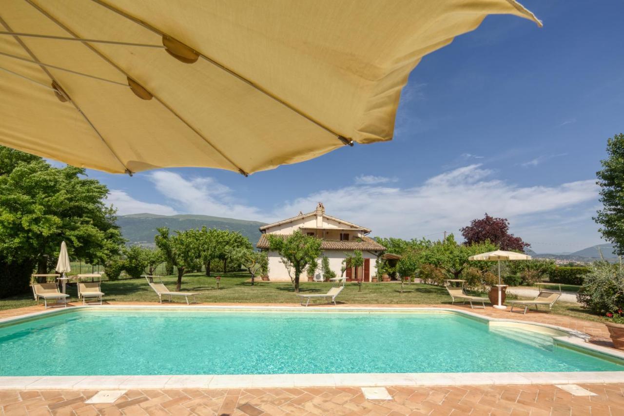 Agriturismo Il Barco 스펠로 외부 사진
