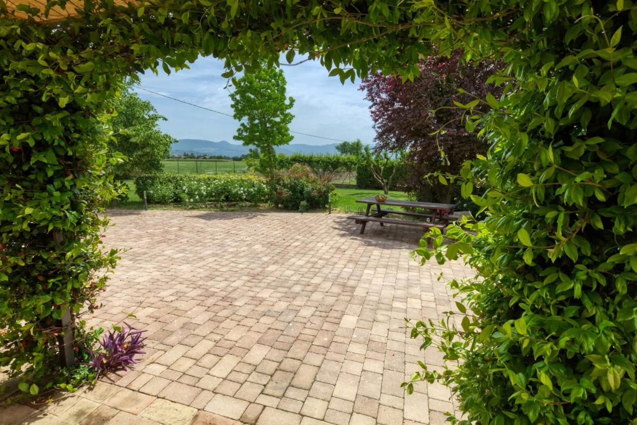Agriturismo Il Barco 스펠로 외부 사진