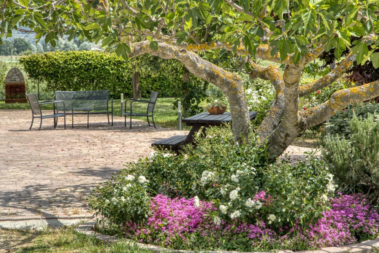 Agriturismo Il Barco 스펠로 외부 사진