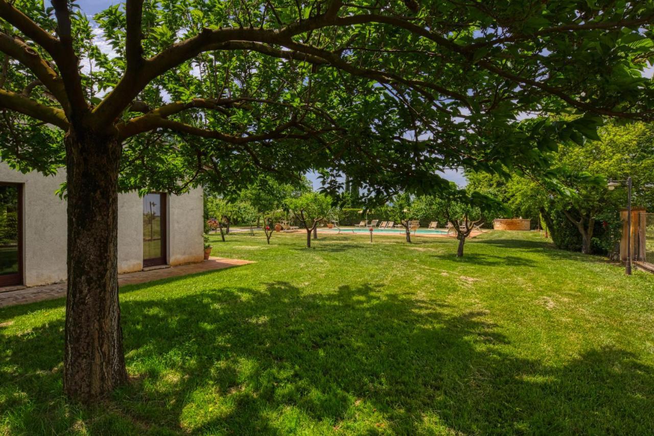 Agriturismo Il Barco 스펠로 외부 사진