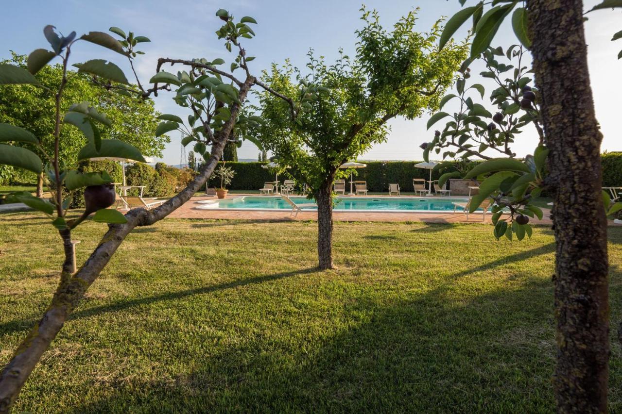 Agriturismo Il Barco 스펠로 외부 사진