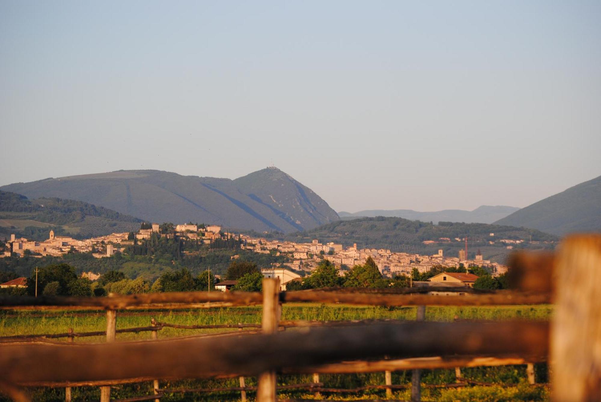 Agriturismo Il Barco 스펠로 외부 사진