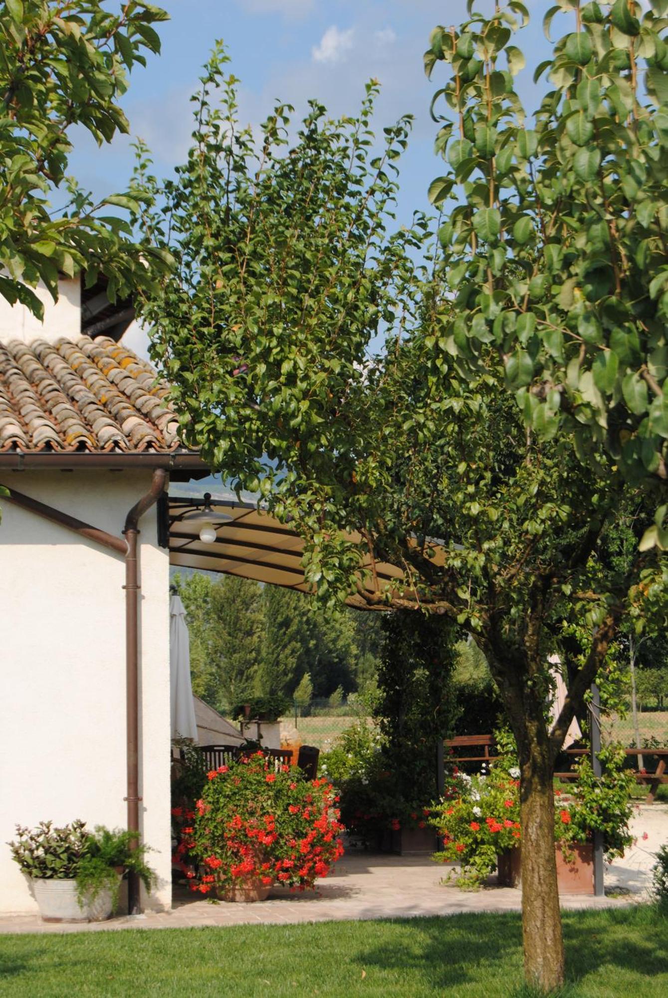 Agriturismo Il Barco 스펠로 외부 사진