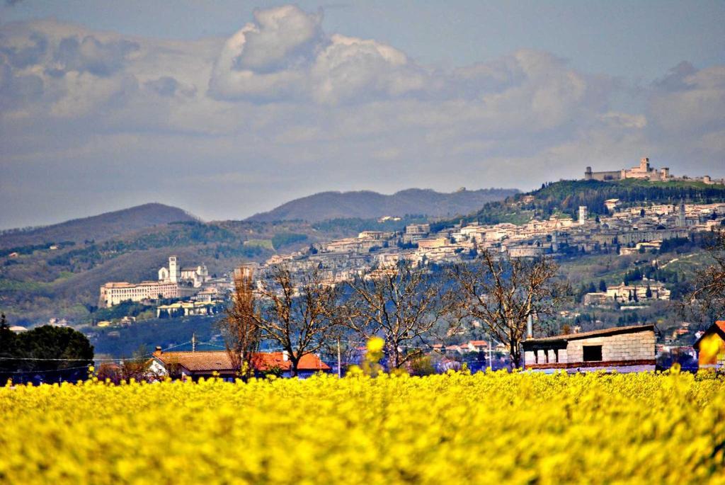 Agriturismo Il Barco 스펠로 외부 사진