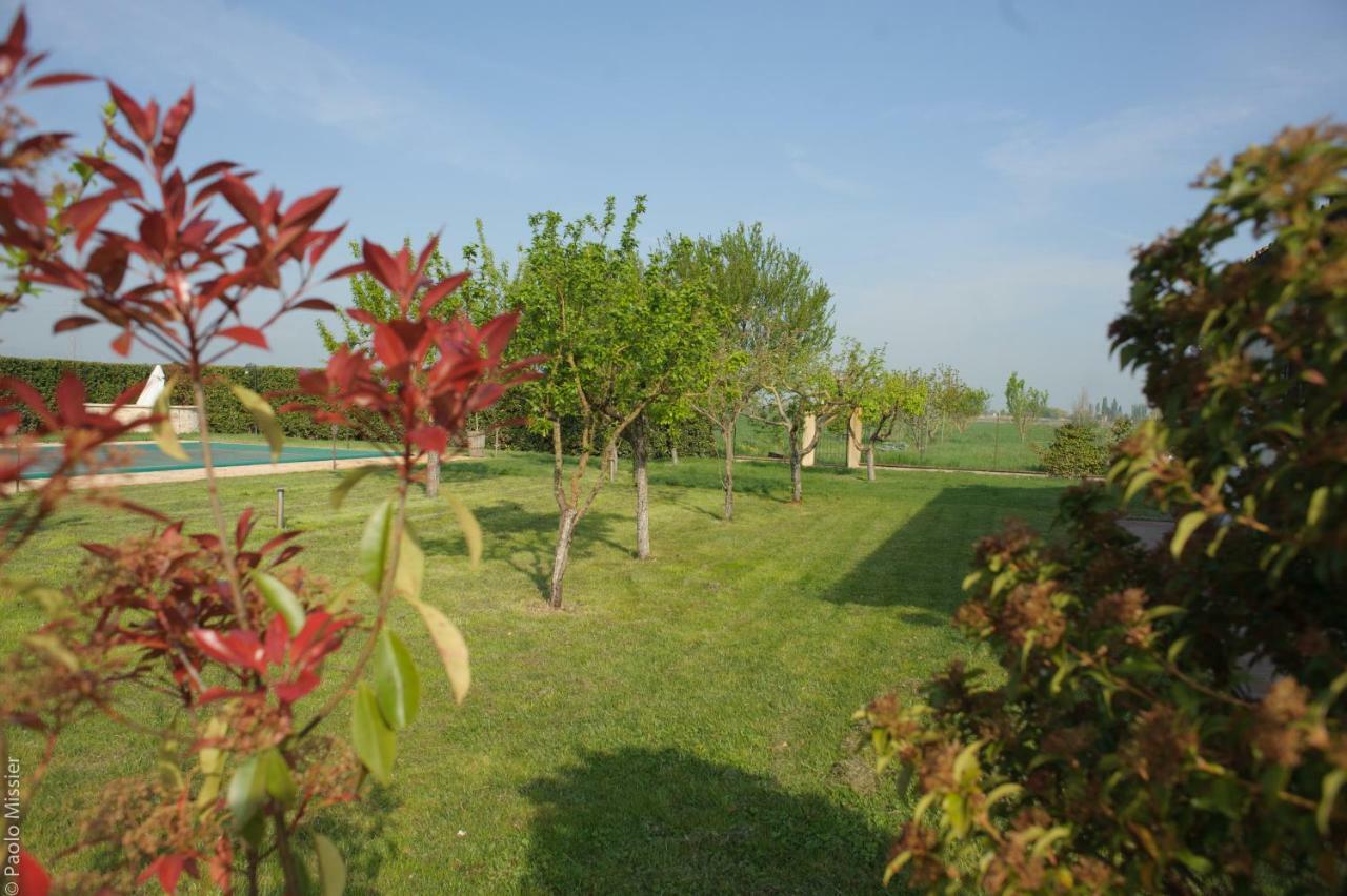 Agriturismo Il Barco 스펠로 외부 사진