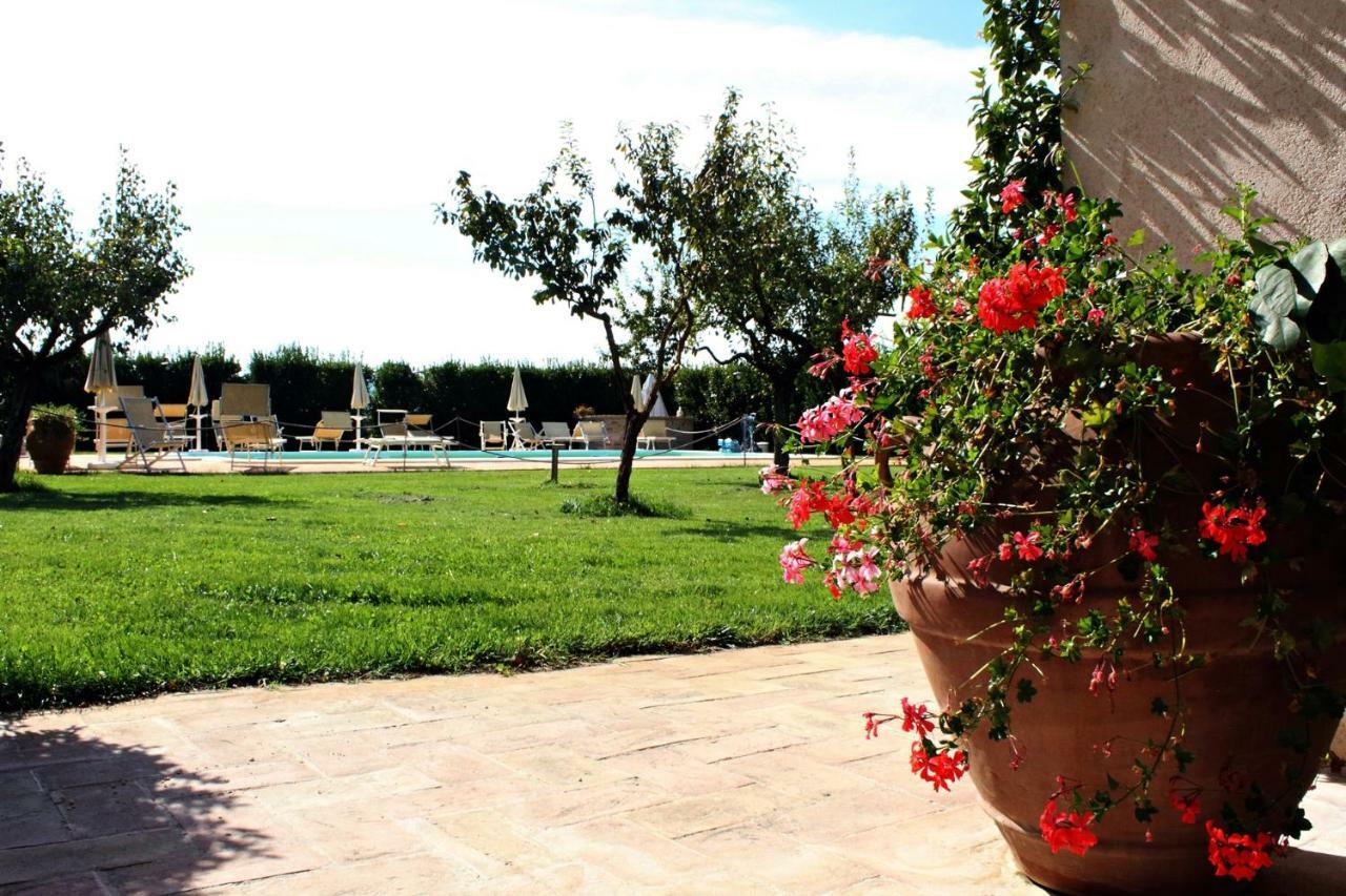 Agriturismo Il Barco 스펠로 외부 사진