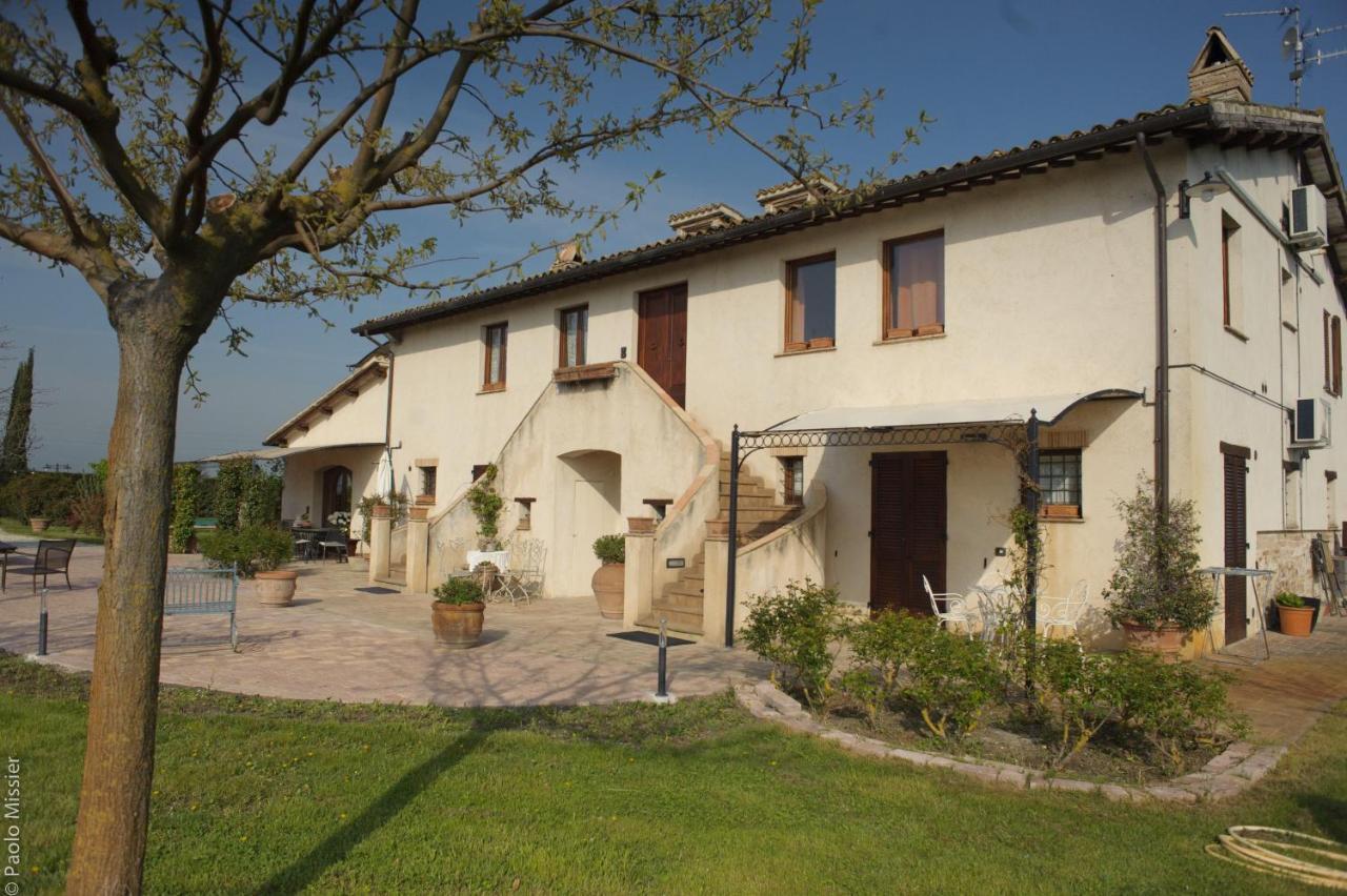 Agriturismo Il Barco 스펠로 외부 사진